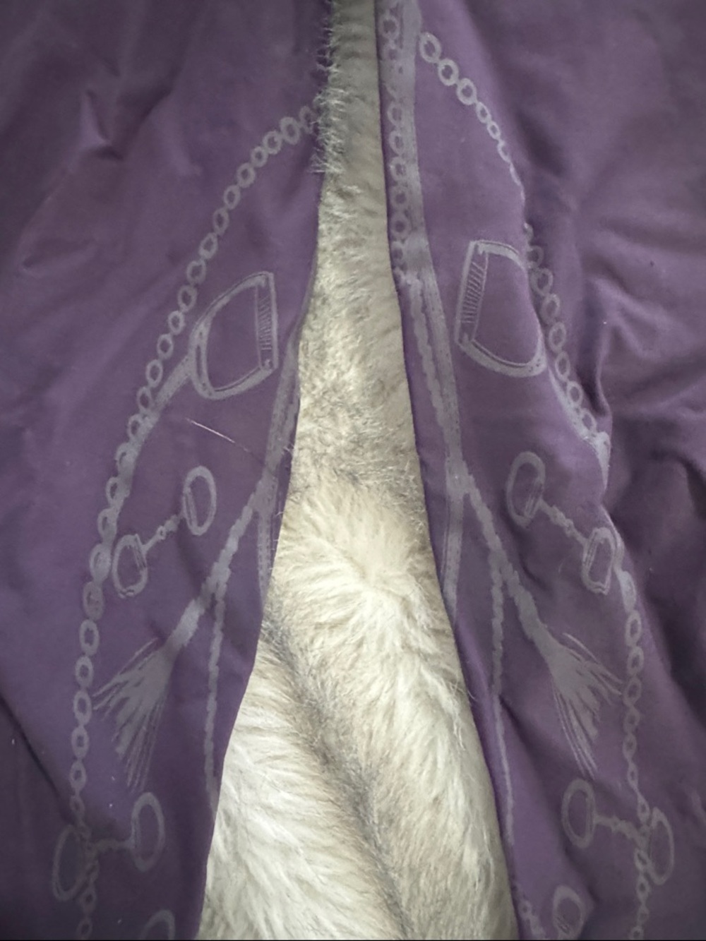 PS of Sweden Purple Equestrian Grip Breeches 24 - Picture 2 of 13